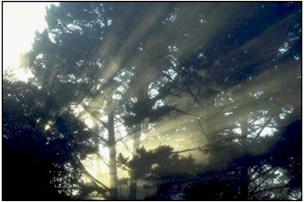 Lumi�re