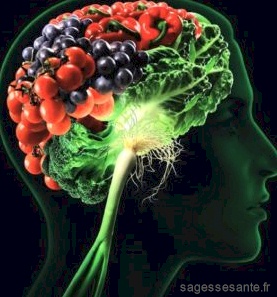 image-alimentation-cerveau