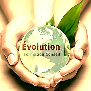 image-evolution-formation